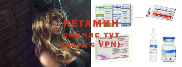 сатива Вяземский