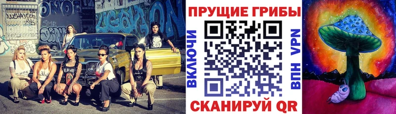 цена наркотик  Грайворон  Псилоцибиновые грибы Psilocybine cubensis 